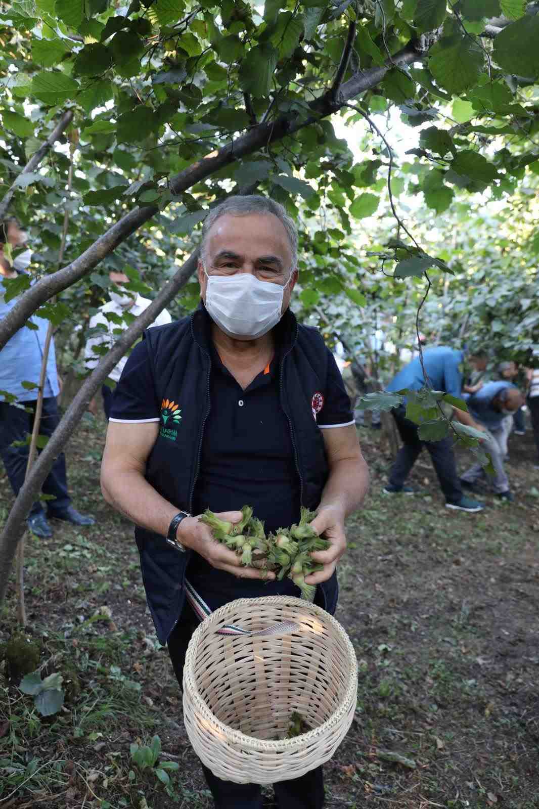 Ordu Büyükşehir Belediyesi